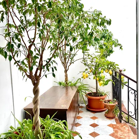 Palazzo 700 Castellammare del Golfo