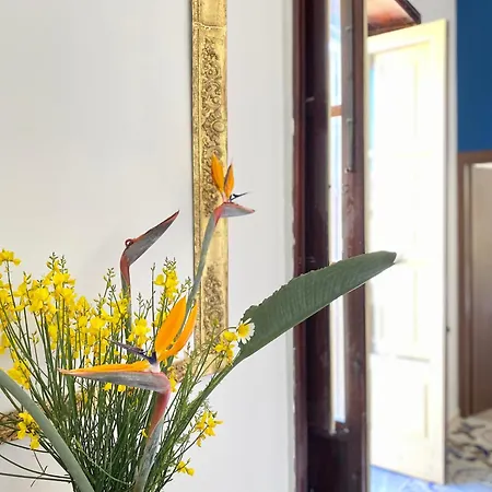 Apartamento Palazzo 700 *